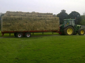 Marshall Agricultural Bale Trailer Loaded With Bales