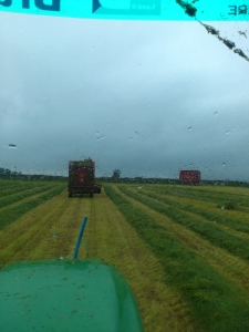 Fleet of Marshall Silage Trailers in Action