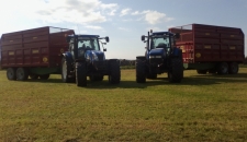 W & W Pattersons QM12s