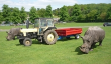 Marshall S/4 Drop-side Trailer sold by Morris Bufton