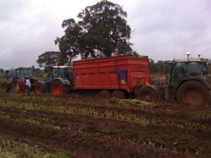 Marshall QM/14 Bogged Down