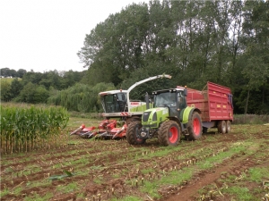 Marshall QM/14 T4U Agricultural Trailer Harvesting Maize at Lackham College