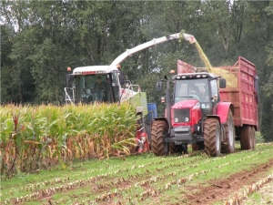 Marshall QM/14 T4U Agricultural Trailer Harvesting Maize at Lackham College