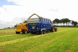 Marshall Farms QM/14 Silage Trailers