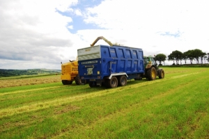 Marshall Farms QM/14 Silage Trailers