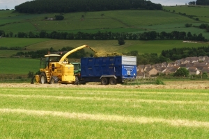 Marshall Farms QM/14 Silage Trailers