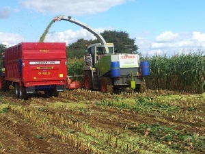 QM/14SS Lackham College Farm