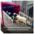 Upgraded Livestock Float